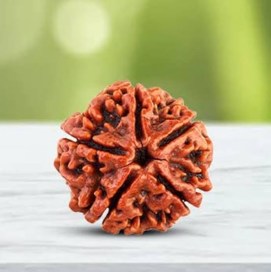 EnergizedMagicalFiveMukhiRudraksh